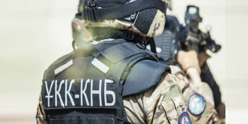 Қазақстанда 15 қылмыстық топтың жолы кесілді