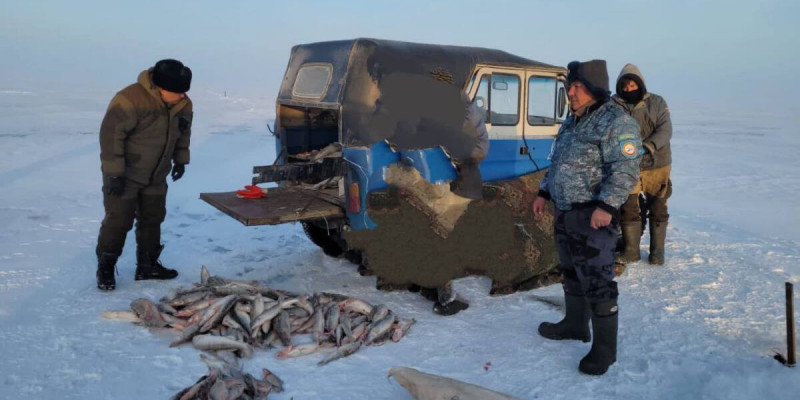 Жетісу облысында браконьерден 120 келіден астам балық тәркіленді