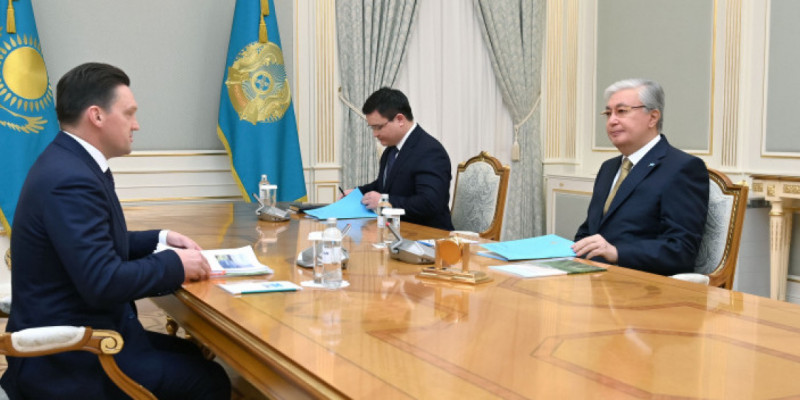 Мемлекет басшысы Еуразиялық даму банкінің басқарма төрағасын қабылдады