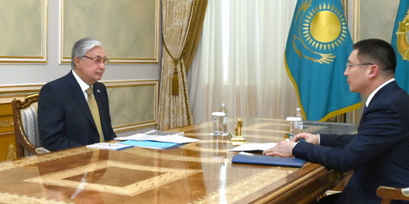 Мемлекет басшысы Павлодар облысының әкімін қабылдады