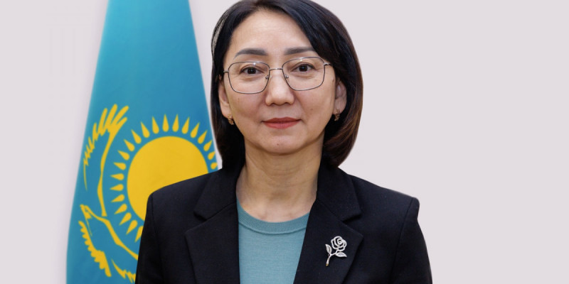 Азаматтық қоғам істері комитетінің төрағасы тағайындалды