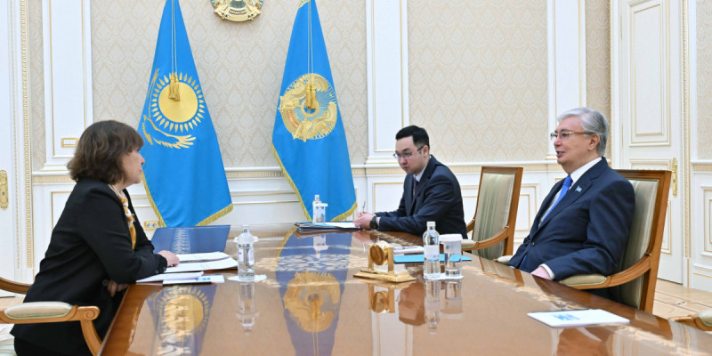 Президент «Стратегия» әлеуметтік және саяси зерттеулер орталығының басшысын қабылдады
