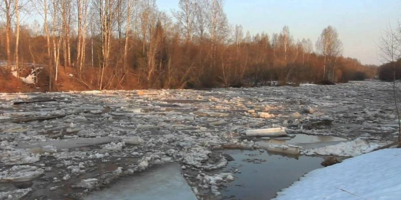 Ақмола облысындағы аудандардың бірінде үйлерді су басқан