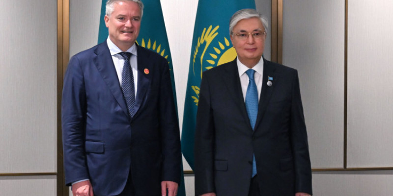 Президент Экономикалық ынтымақтастық және даму ұйымының Бас хатшысымен кездесті