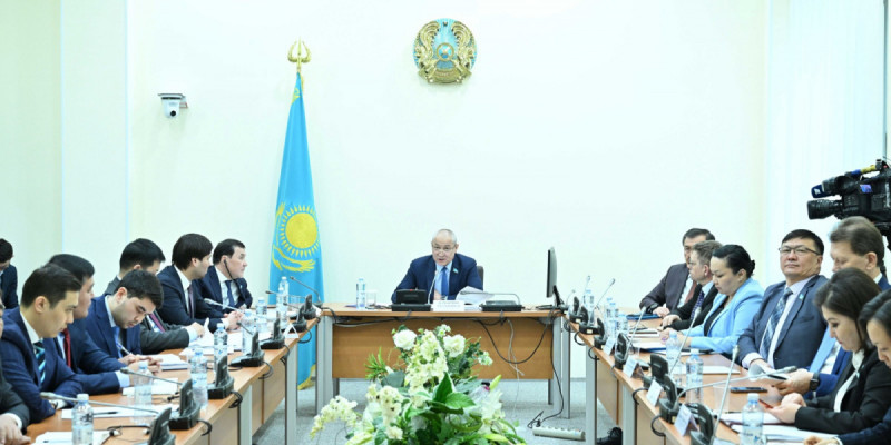 Мәжілісте жануарларға жауапкершілікпен қарау туралы заң жобасы қаралды