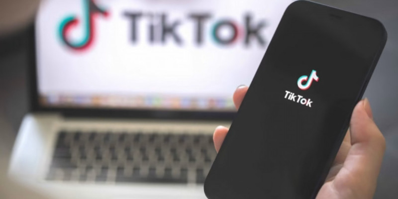 Финляндиядағы университеттің бірі дәрісті Tik-Tok-та өткізуге көшті