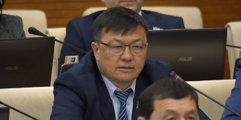 "Жұт жайын елдің арасына барып білудің орнына өлексе санаумен шектелді": Депутаттар министрлікті сынға алды