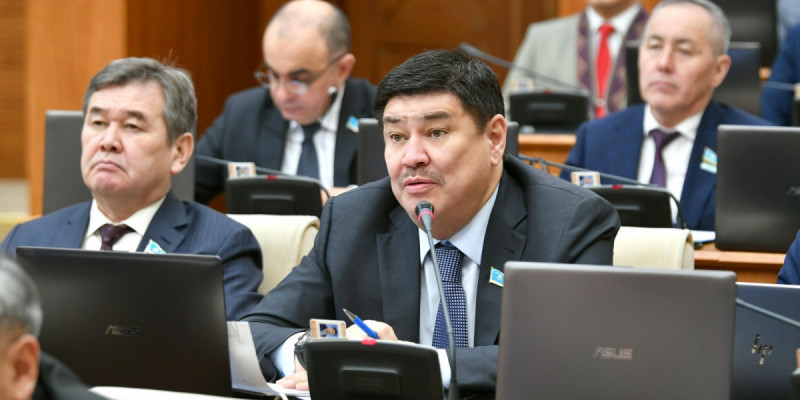 Сәтсіз конкурстар, ұзақ және шулы сот процестері ауруханалар мен жаңа мектептер салуға мүмкіндік бермейді – депутат