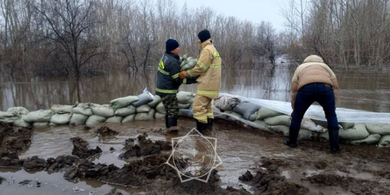Ақтөбе облысында Ойыл өзеніндегі су деңгейі төмендеді