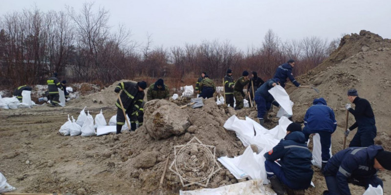 Сенатор мемлекеттік органдардың төтенше жағдай кезіндегі әрекеті үшін жауапкершілігін заңнамалық тұрғыдан бекітуді ұсынды