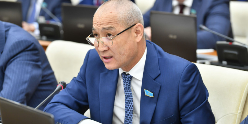 Халық тасқынға қарсы күресіп жатқанда, алыпсатарлар қара басының қамын күйіттеуде – Еділ Жаңбыршин