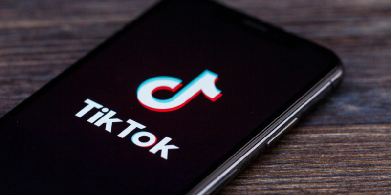 Қырғыз Республикасында TikTok-қа шектеу қойылды