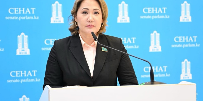 Айгүл Қапбарова: Жаңа заң – құндылықтардың жаңа жүйесі