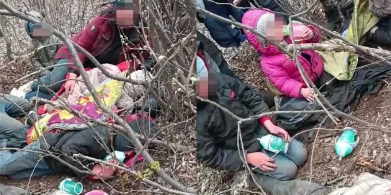 Павлодар маңындағы орманнан үй-жайы жоқ алты балалы отбасы табылды