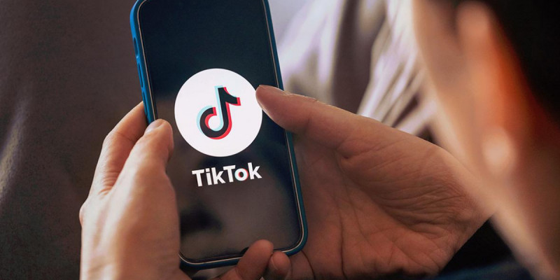 Қарағанды тұрғыны TikTok-тағы жазбасы үшін сотталды
