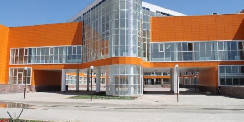 Астанада Назарбаев мектебінде оқитын оқушы қызды пышақтап кетті
