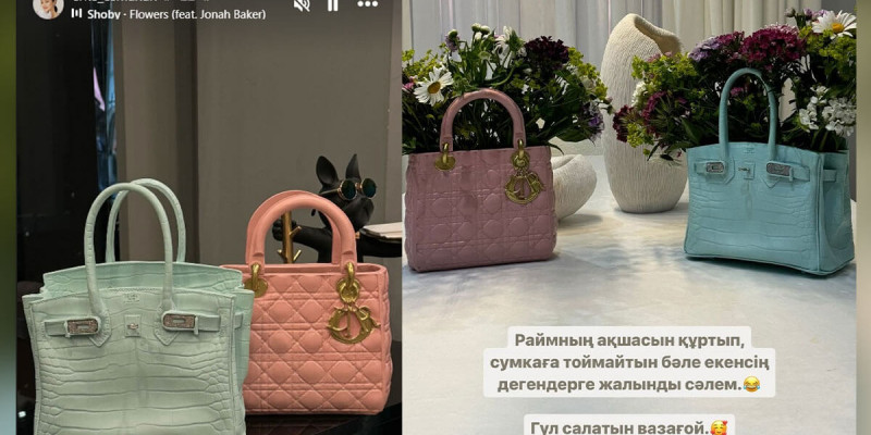 Ерке Есмахан оқырмандарын күлкі етті