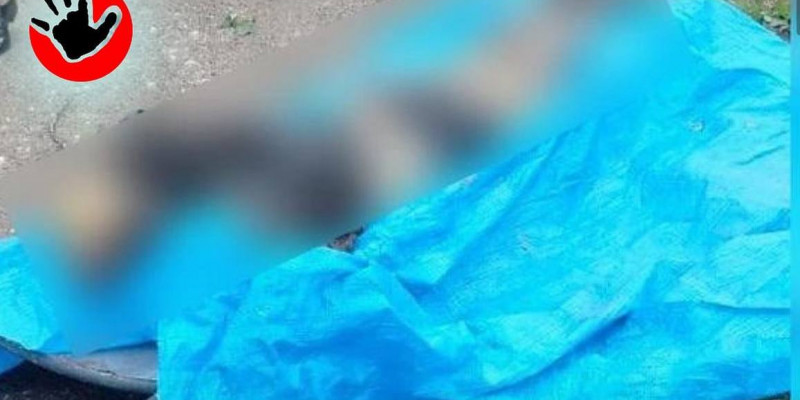 Алматыдағы көшелердің бірінде жалаңаш әйелдің мәйіті табылды