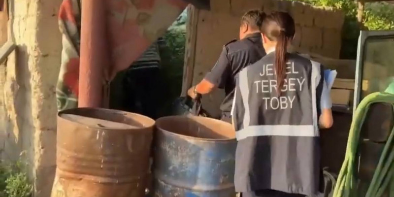 Жамбыл облысында ірі есірткі плантациясы табылды (ВИДЕО)