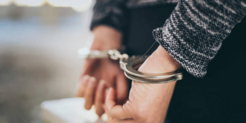 Қызылордада танымал блогердің үстінен қылмыстық іс қозғалды