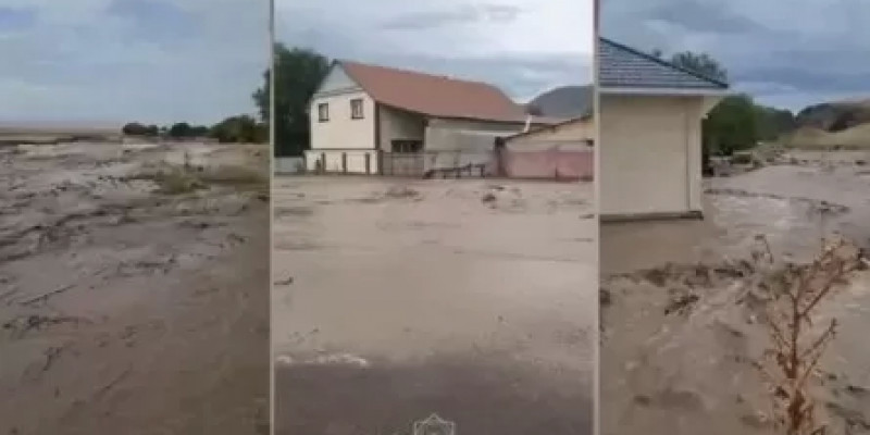 Алматы облысында сел жүріп, үйлерді су басты (ВИДЕО)