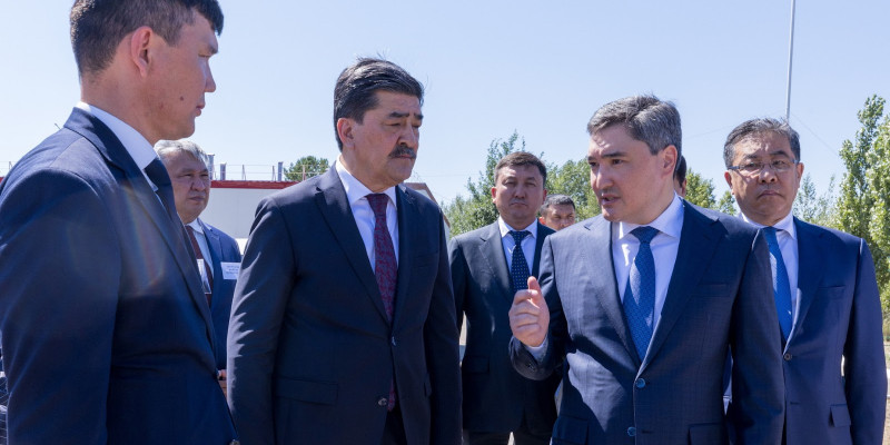 Премьер-Министр «Семей орманындағы» өртенген қарағайлы орманды қалпына келтіру жұмысын тексерді