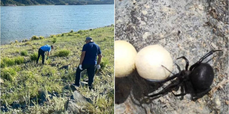 Павлодар облысында төтенше жағдай жарияланбақ