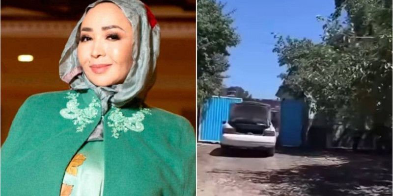 «Жағдай жасалса»: Айнұр Тұрсынбаева Демеу Жадыраевтың туған ауылын көрсетті