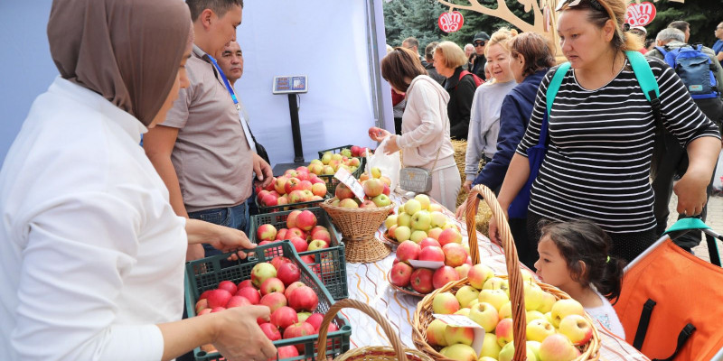 Apple Fest-2024: Hiro және Captown, 130 тонна алма, 1700 литр алма компоты және Шапито циркі