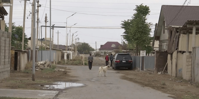 Шардарада екі баланы ит талап тастаған