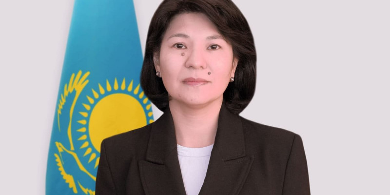 Интеллектуалдық меншік комитетінің төрағасы тағайындалды
