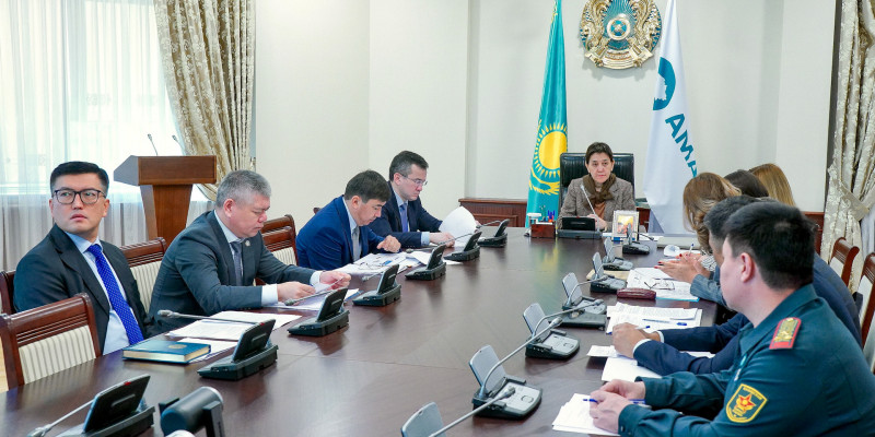 Тамара Дүйсенова азаматтарды онлайн қабылдады