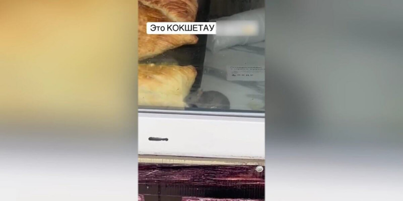 Көкшетаудағы дүңгіршекте тышқандар самса жеп жүрген видео тарады