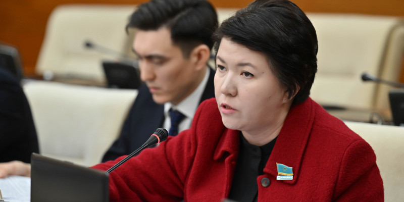 "AMANAT" депутаттары балалардың өміріне қауіп төндіретін ойындарды бұғаттауға қатысты ұсыныс айтты