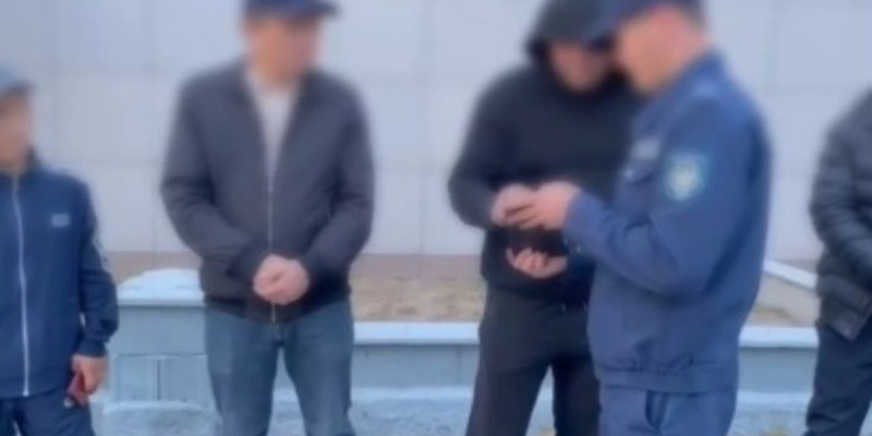 Жолдың бойында көкпар ойнағандар жауапқа тартылды