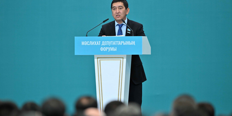 Мәжіліс депутаты дәстүрлі ұлттық театр ашуды ұсынды