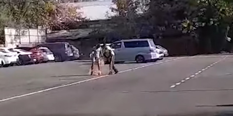 Алматыда көлігін, сосын өзін өртеп жіберген азамат көз жұмды