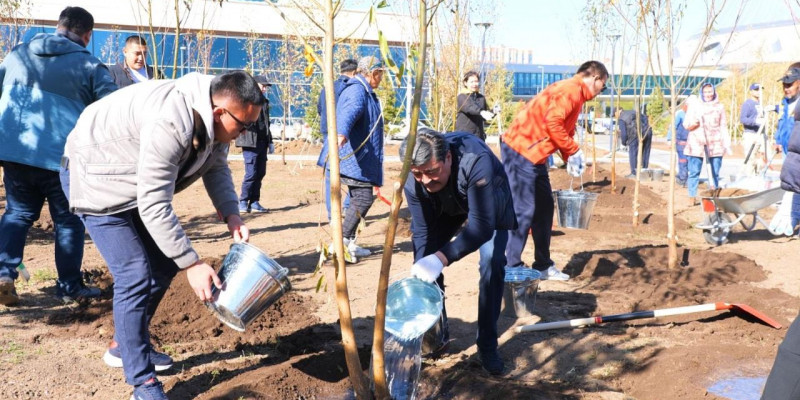 Елордада ағаш егу күні өтті