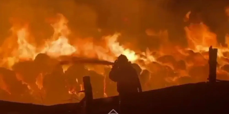 Шығыс Қазақстан облысында шөп қоймасы өртенді