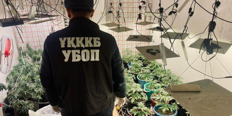БҚО-да есірткі зертханасын жасақтаған 49 жастағы ер адам ұсталды