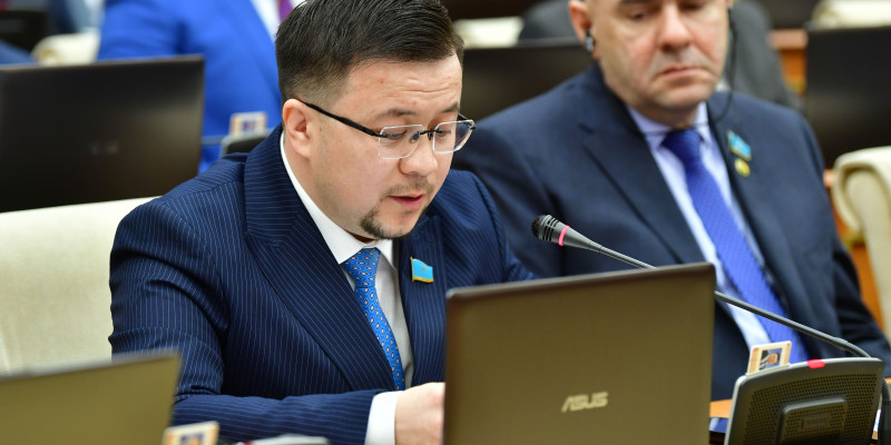 "Түкке тұрғысыз дүниені түйенің құнына өткізіп жібереді": депутат курс өткізетін коучтар мен блогерлерді бақылауға алуды ұсынды