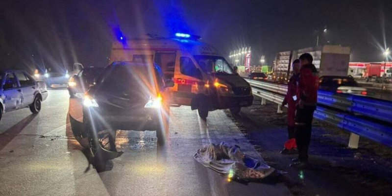 Алматы облысында екі адамды автокөлік қағып кетті