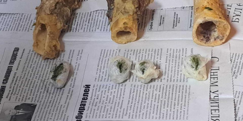 Қызылорда тұрғыны жілікке есірткі салып, абақтыға алып кірмек болған