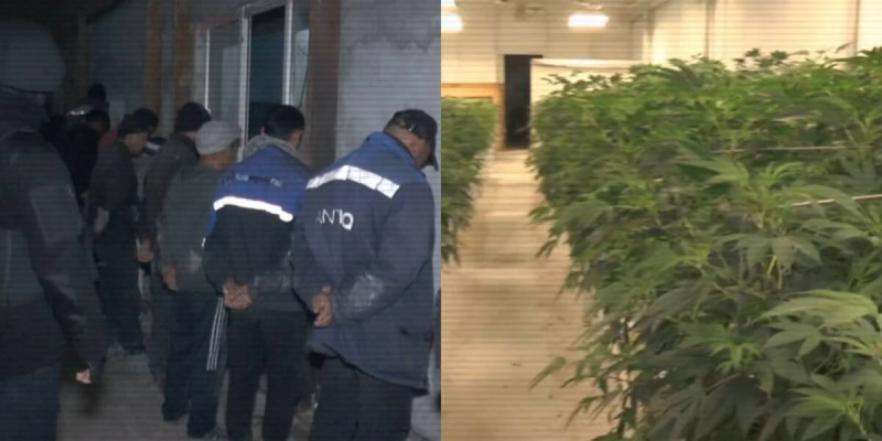 Балық шаруашылығының атын жамылған есірткі зертханасы жойылды