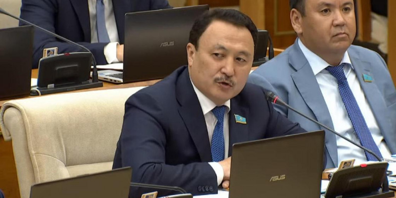 Кенттер мемлекеттің қолдауына зәру – депутат