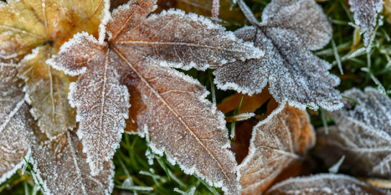 Елімізде 12 өңірде ауа райына байланысты ескерту жасалды