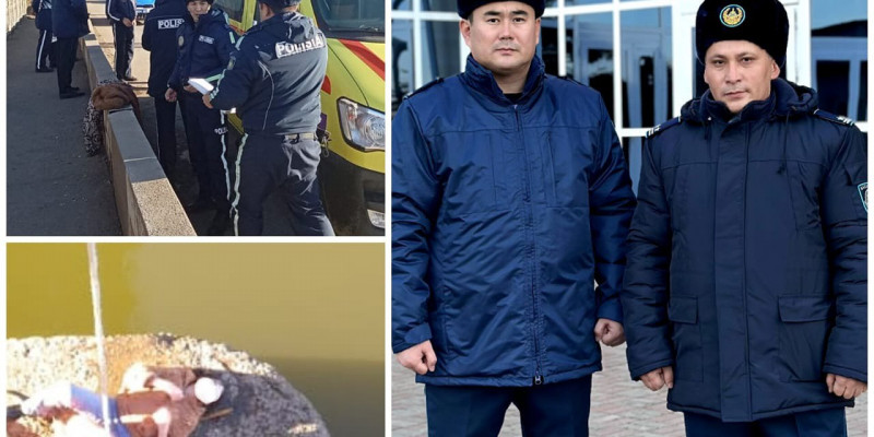 Оралда көпірден секірмек болған қыз аман қалды