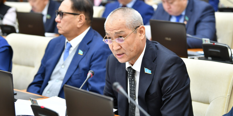 «Қазпошта» ел өңірлеріне дәрі-дәрмек жеткізуі үшін заңға түзету енгізілмек – депутат