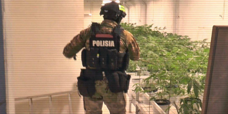 ІІМ: Екі айда 12 есірткі зертханасы мен 4 притон әшкереленді
