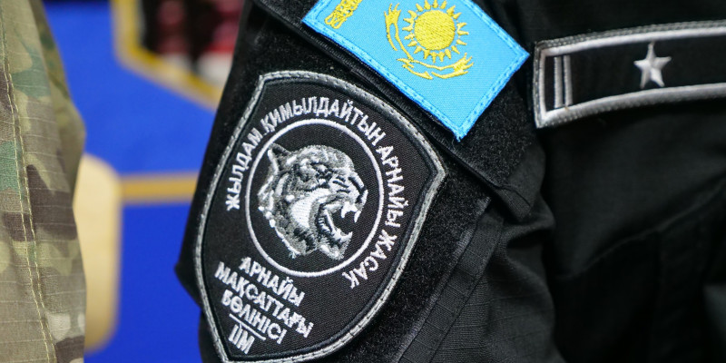 «Демал, демал!»: Абай облысында қызды құтқару сәті видеоға түсіп қалды
